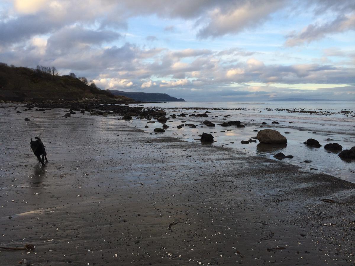 Josies Place At Waters Edge Self Catering Apartment Glenarm Esterno foto